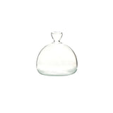 Vase Fleur en Verre Transparent pour Avocat