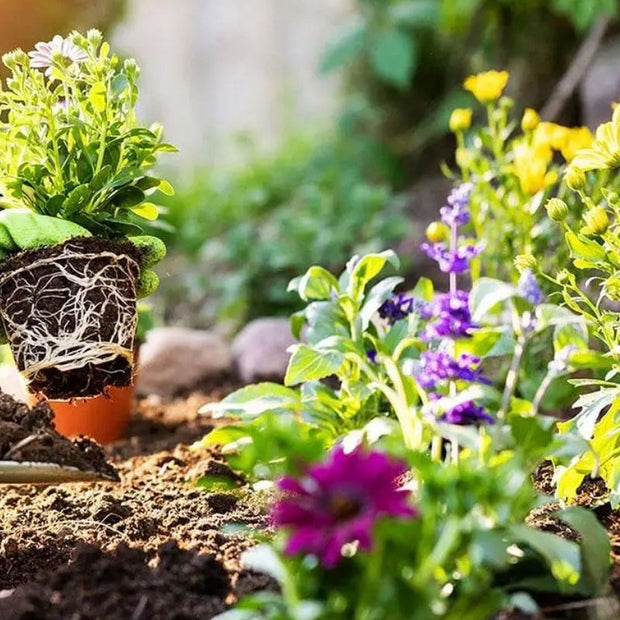 Substrat Terrarium En Fibre De Coco Naturelle