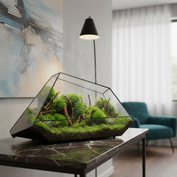 Terrarium En Verre Géométrique Avec Structure Facettée Moderne