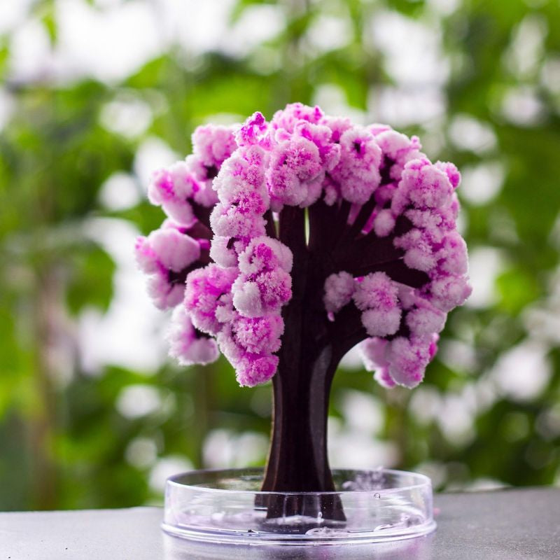 Mini Arbre Sakura Magique en Papier