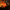 Citrouilles Halloween Ornement Saisonnier