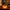 Citrouilles Halloween Accessoire Festif