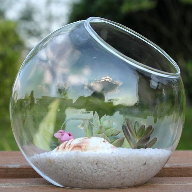Terrarium En Verre En Forme Boule Transparente Décorative