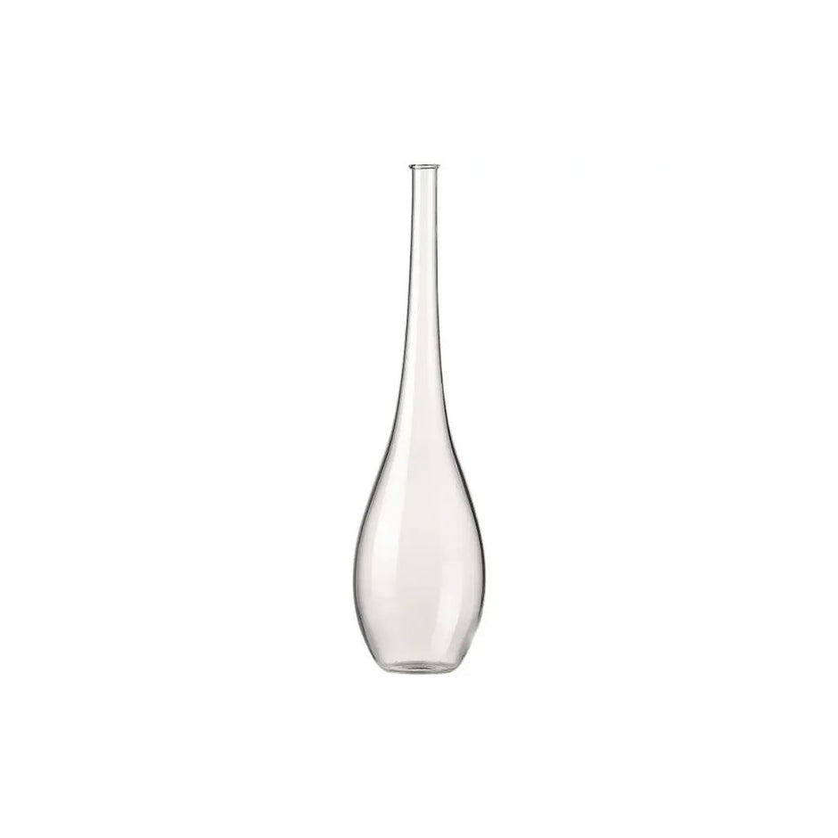 Vase en Verre Transparent Style Japonais pour Plantes
