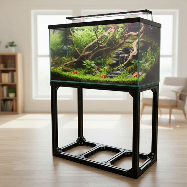 Support Terrarium Solide Grand Format
