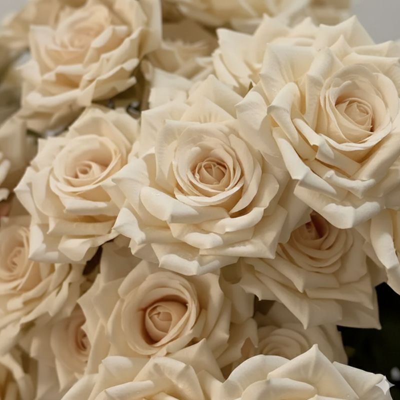 Fleur Artificielle Beige Avec Roses Ivoire