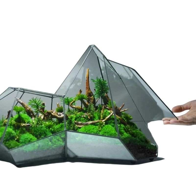 Terrarium En Verre Design En Forme Asymétrique Décorative