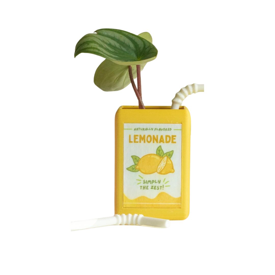 Vase Fleur en Forme de Boîte de Jus