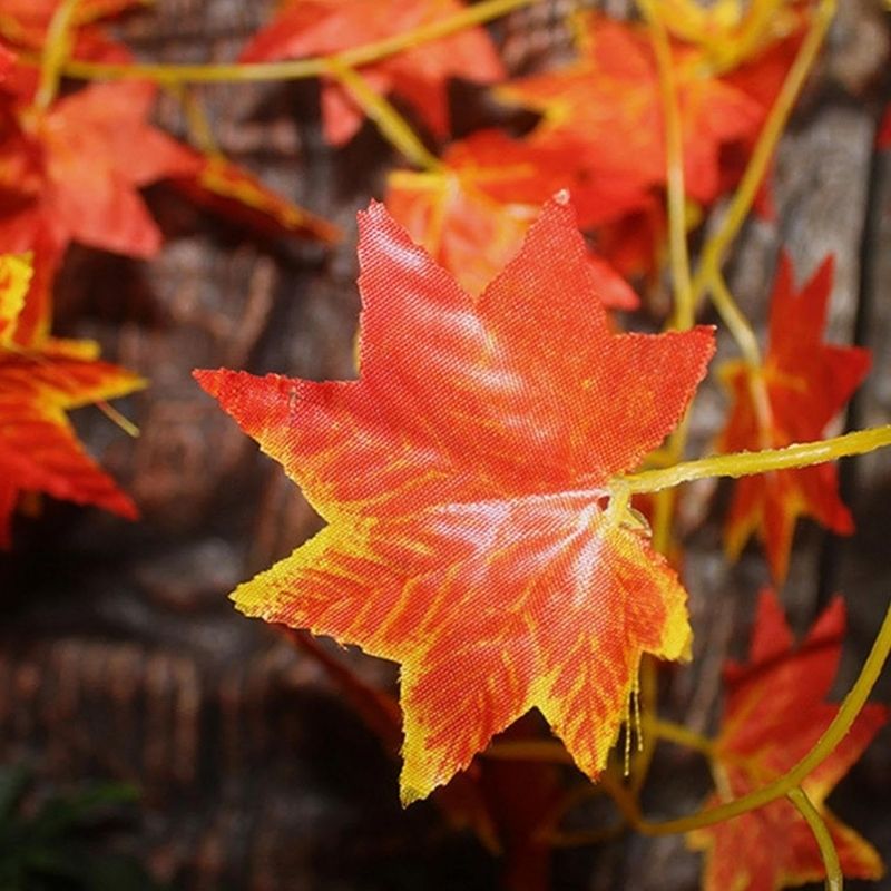Décoration Terrarium En Vigne Artificielle