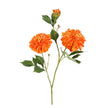 Fleur Artificielle Orange Avec Pompons Ronds