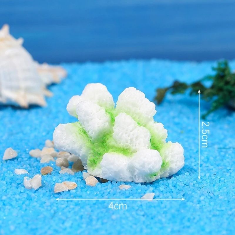 Décoration Terrarium En Ornement Corallien Blanc