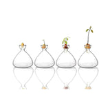 Vase Fleur en Verre Transparent pour Avocat