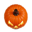 Citrouilles Halloween Unique et Expressif