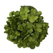 Fleur Artificielle Vert en Bouquet Hortensia Élégant