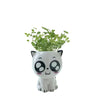 Mini Vase en Forme de Chat