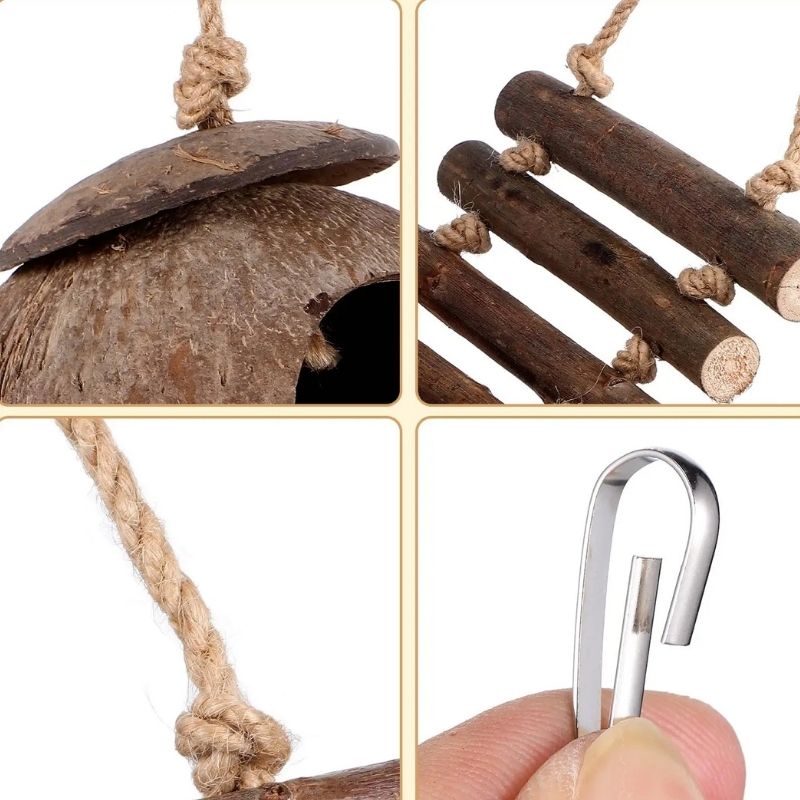 Décoration Terrarium Avec Cabane Coco Et Échelle En Bois