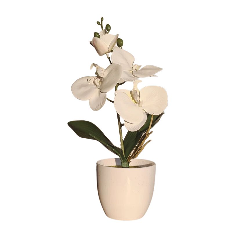 Vase avec Fleur Bonsaï Orchidée Artificielle