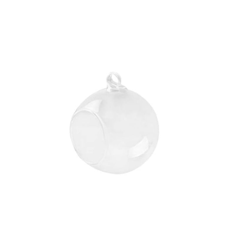 Vase Boule Transparent en Verre pour Plantes