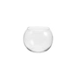 Vase Boule en Verre pour Micro Paysage et Hydroponie