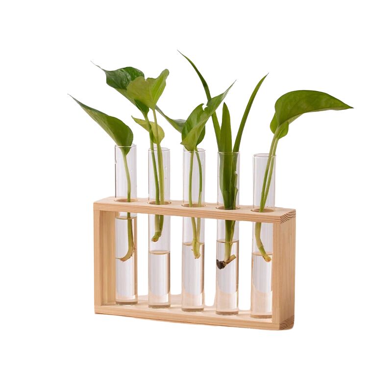 Vase avec Cadre en Bois pour Plantes Hydroponiques