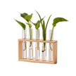 Vase avec Cadre en Bois pour Plantes Hydroponiques