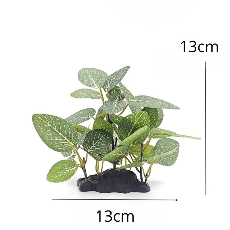 Plante Pour Terrarium Avec Feuillage Réaliste