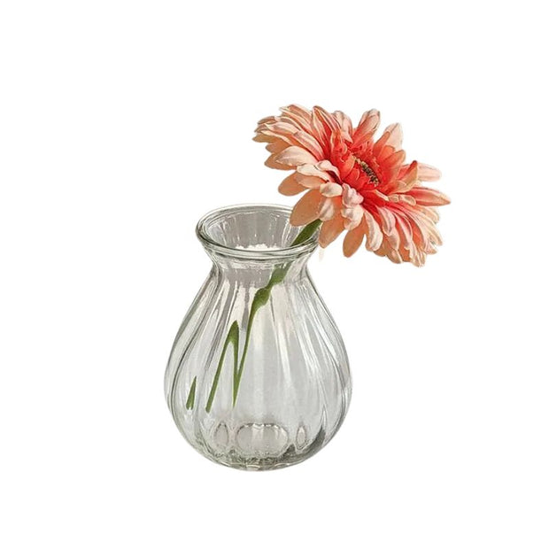 Vase Transparent en Verre Créatif pour Fleurs