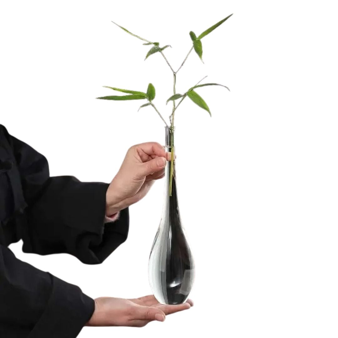 Vase en Verre Transparent Style Japonais pour Plantes