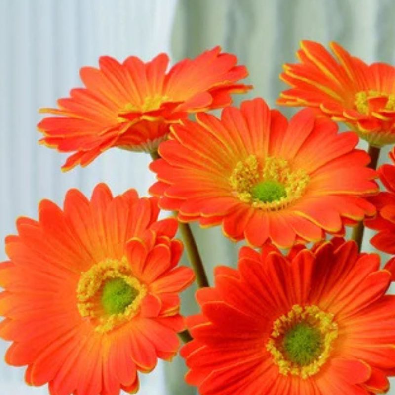 Fleur Artificielle Orange Avec Gerberas Vifs En Bouquet Décoratif