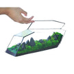 Terrarium En Verre Géométrique Allongé
