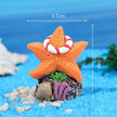 Décoration Terrarium En Étoile De Mer Avec Ornement Marin