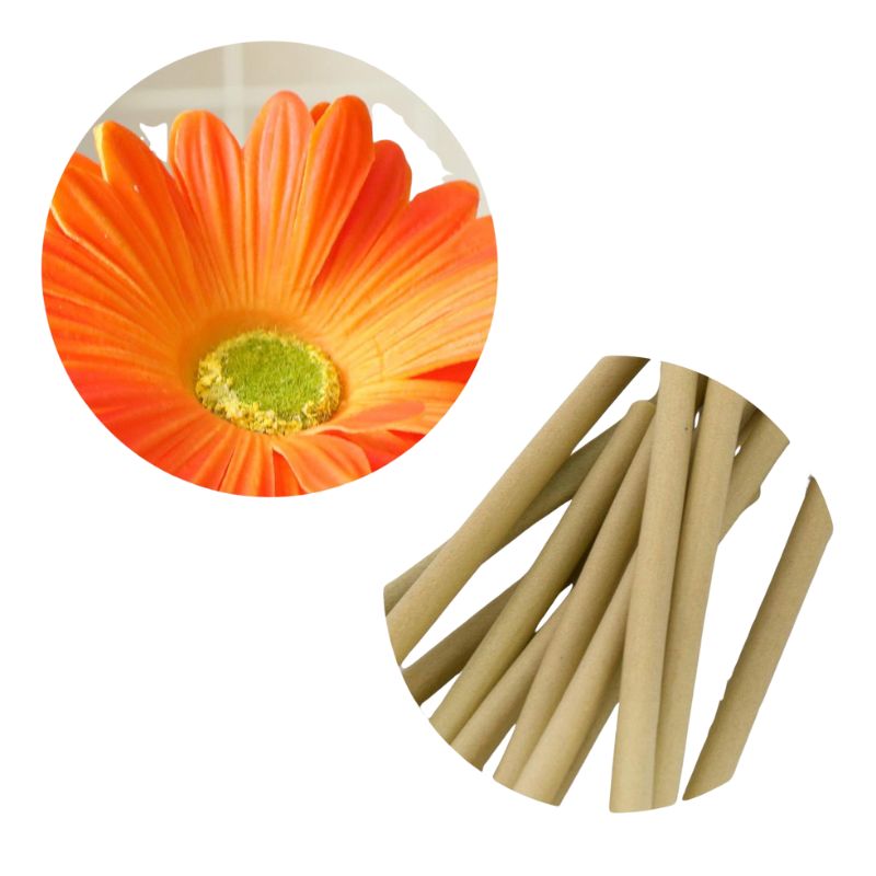 Fleur Artificielle Orange Avec Gerbera Isolé