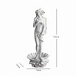 Sculpture Venus Naissante Avec Coquillage Et Posture Élancée