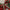 Décorations de Noël Guirlande de Baies Rouges