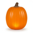 Citrouilles Halloween Accessoires Gothiques