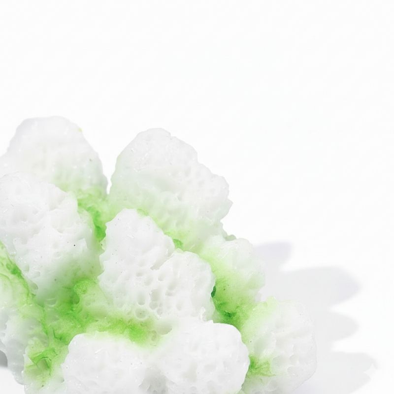 Décoration Terrarium En Ornement Corallien Blanc