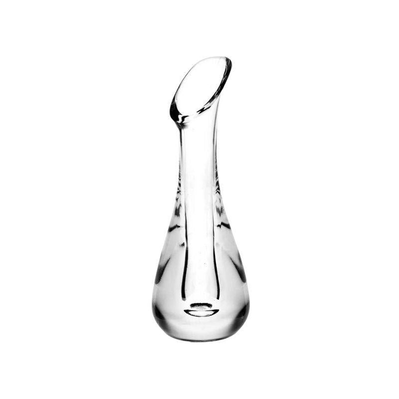 Vase Transparent Décoratif pour Fleurs