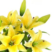 Fleur Artificielle Jaune Lys Réaliste et Élégant
