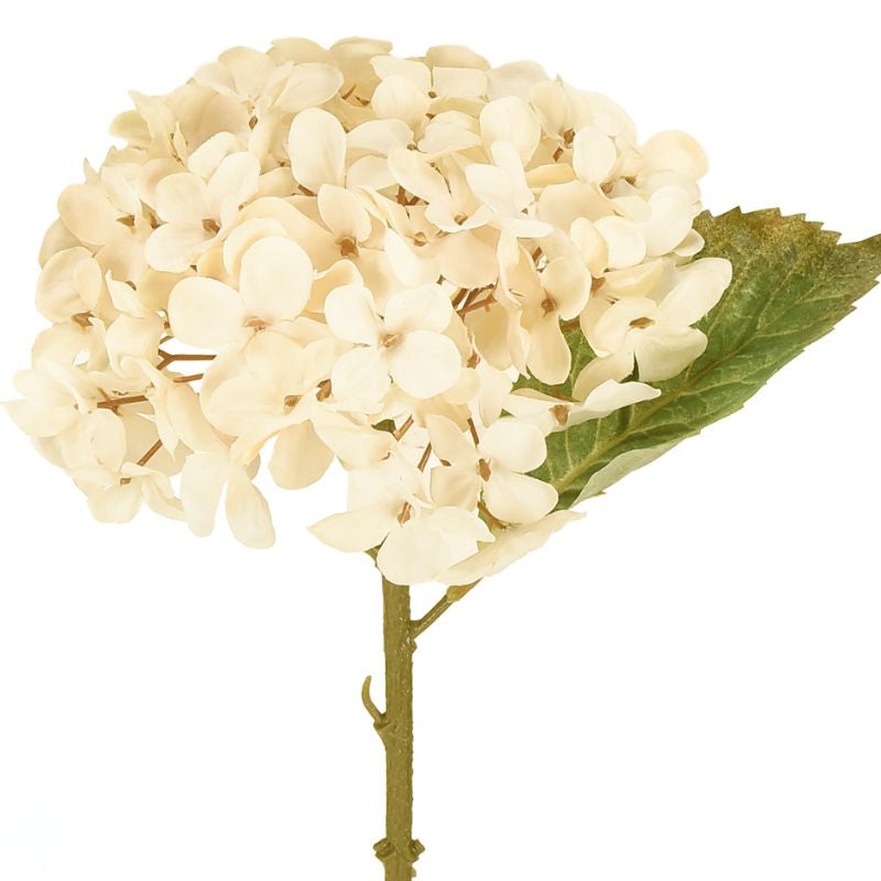 Fleur Artificielle Beige En Soie Avec Rendu Naturel Et Élégant