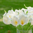 Fleur Artificielle Beige Avec Callas Réalistes Pour Ambiance Épurée