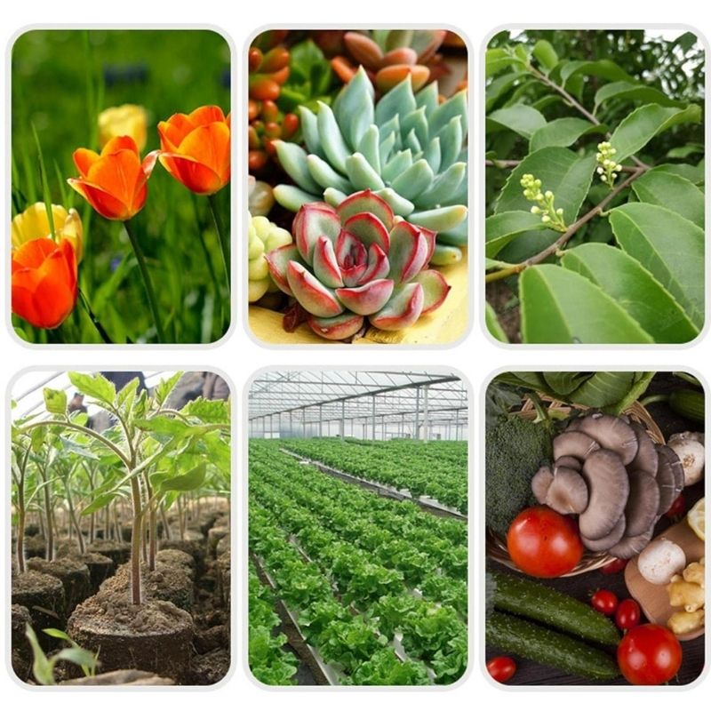 Substrat Terrarium En Fibre De Coco Pour Reptiles