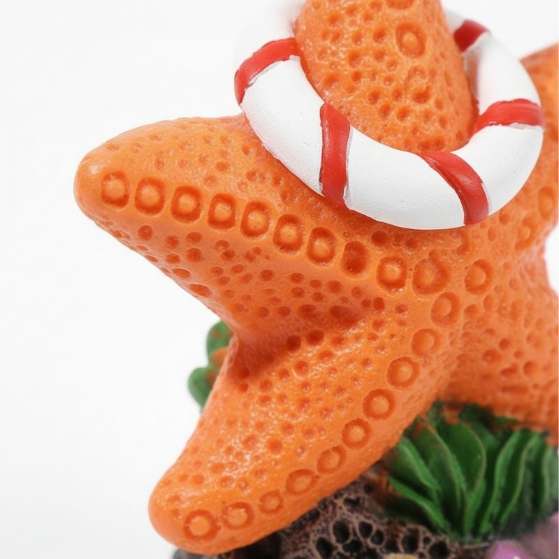 Décoration Terrarium En Étoile De Mer Avec Ornement Marin