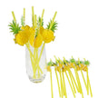 Décorations Été Pailles Ananas 25 Pièces