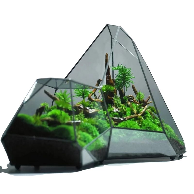 Terrarium En Verre Design En Forme Asymétrique Décorative