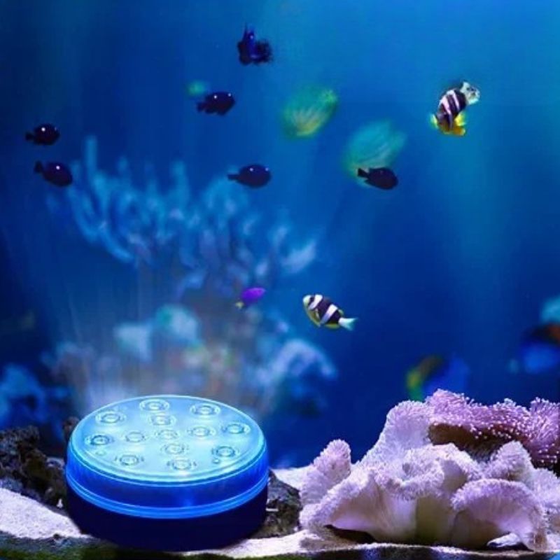 Éclairage de Piscine IP68 Lumière Submersible