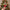 Décorations de Noël Sapin Arc-en-Ciel
