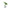 Vase Fleur en Verre Transparent pour Avocat
