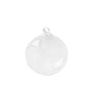 Vase Boule Transparent en Verre pour Plantes