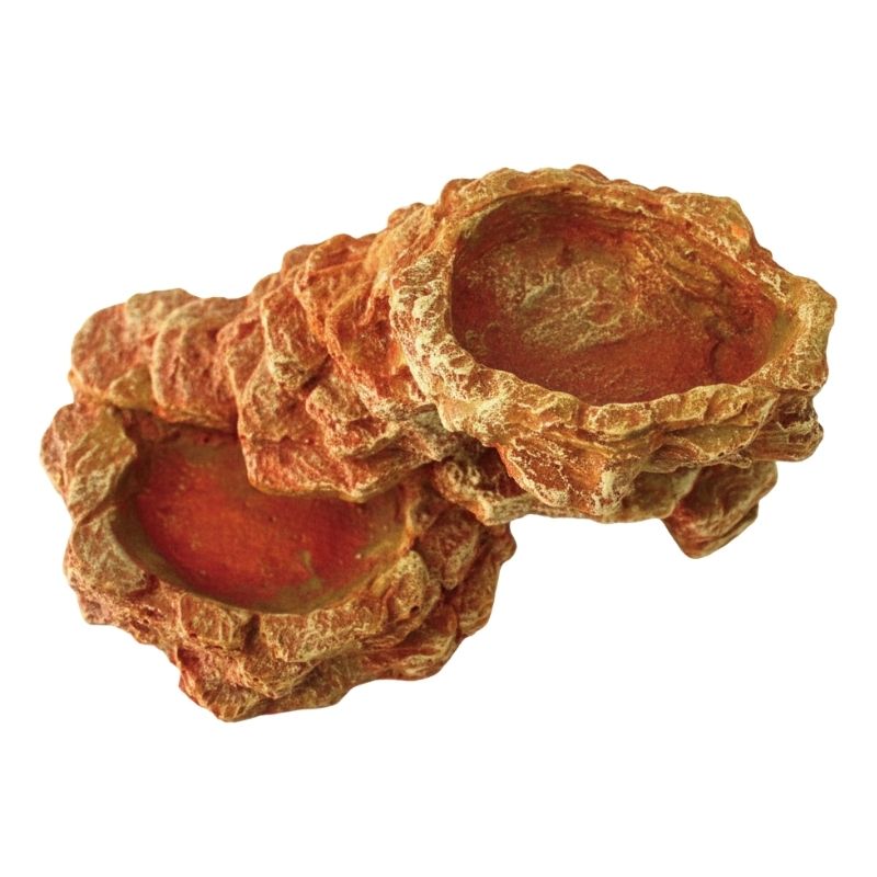 Décoration Terrarium Avec Double Gamelle Effet Roche