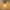 Ampoules de Rechange LED Guirlande Guinguette